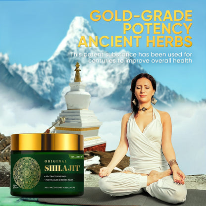 Pure Himalayan Gold Grade Shilajit Resin – 100% Natural Supplement with 85+ Trace Minerals & Fulvic Acid for Energy, Focus & Immunity | 50g