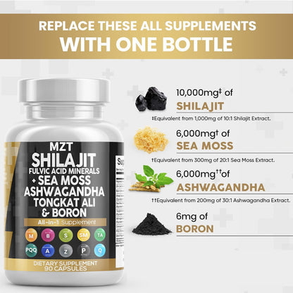 Shilajit Capsules | Natural Energy, Stamina & Wellness Support