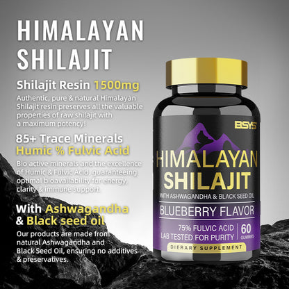 BSYS Shilajit Gummies 60's - Boost Energy, Vitality & Wellness