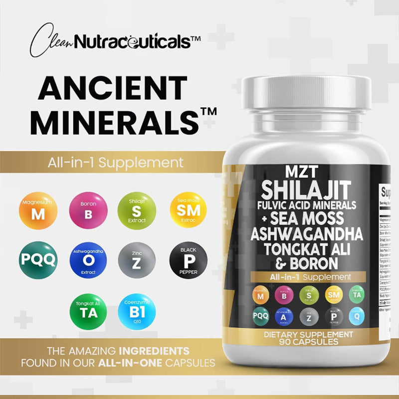 Shilajit Capsules | Natural Energy, Stamina & Wellness Support