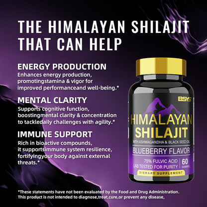 BSYS Shilajit Gummies 60's - Boost Energy, Vitality & Wellness