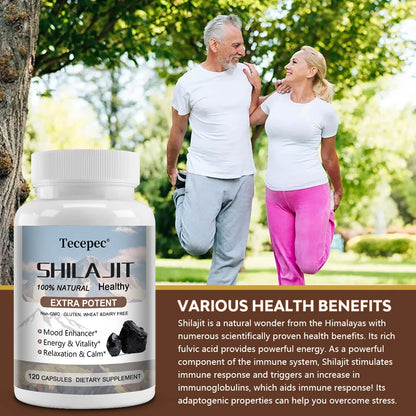 Shilajit Supplement - Energy, Digestion, Immunity & Endurance Boost