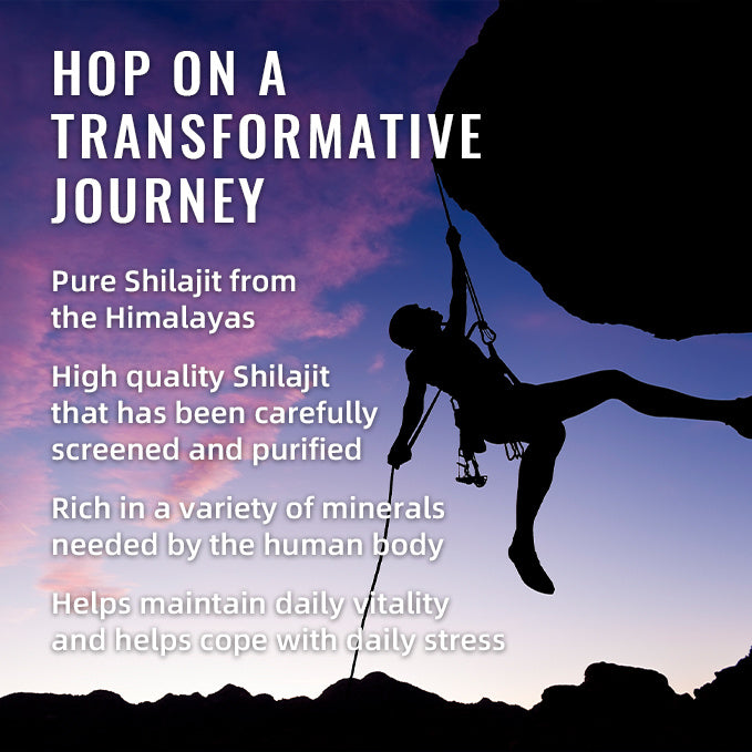 BSYS Shilajit Gummies 60's - Boost Energy, Vitality & Wellness