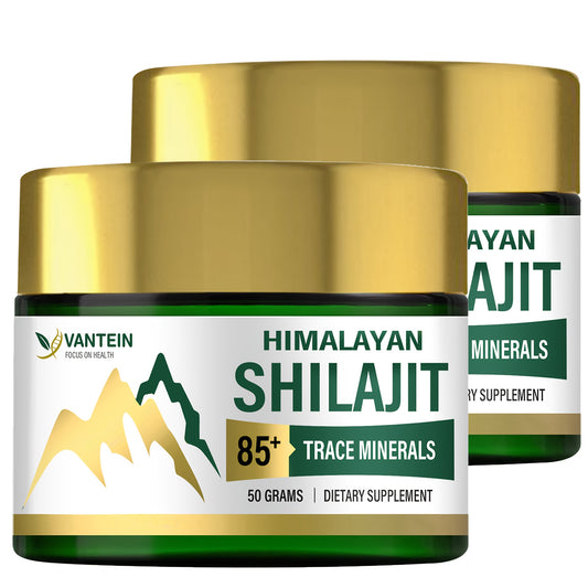 Shila Himalayan Golden Charagi Resin – Trace Minerals & Humic Acid, 2 Bottles for Men & Women